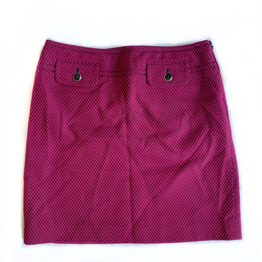 Loft Mini Skirt Navy and Pink Size 2P